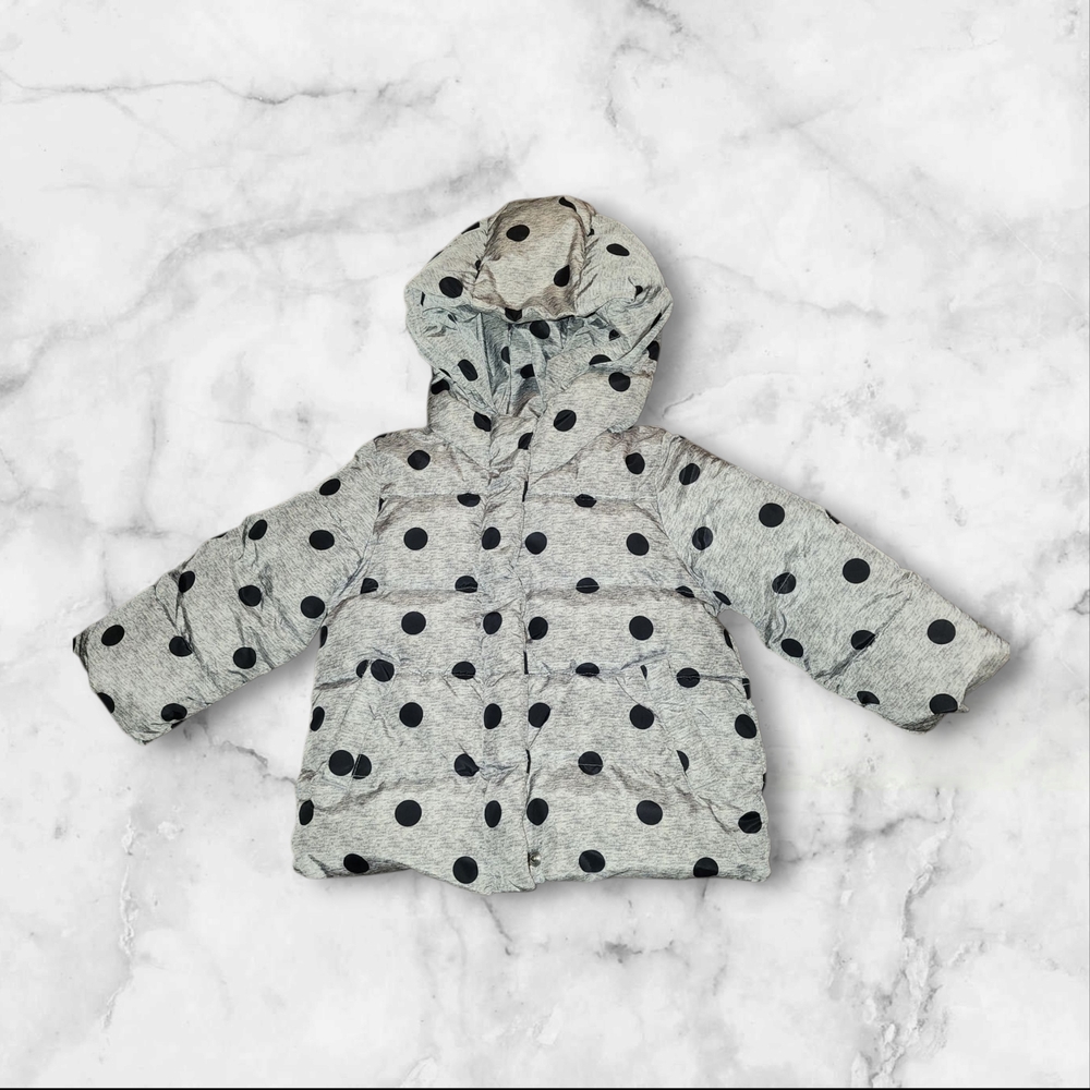 GAP Gray and Black Polkadot Jacket